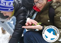 Арктика покоряется упорным…