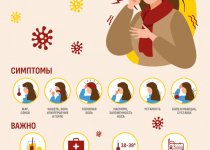 Профилактика вирусных инфекций. 